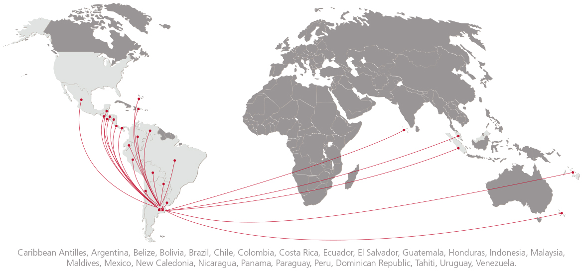 ranieri_vision_global_25